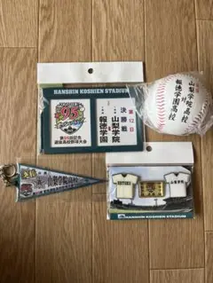 超貴重✨山梨学院旧公式戦ユニフォーム 高校野球 山梨学院 旧ユニフォーム - メルカリ