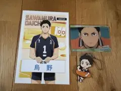 【初週価格】ハイキュー!! 澤村大地3点セット【匿名配送】