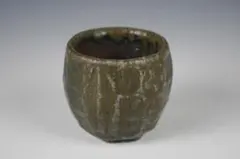 Item thumbnail for item 06deecd6-a3d4-4f6d-aa4c-fa7da423f1c2