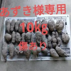 サツマイモ約10㎏(箱込み)・2025年秋の収穫・訳あり