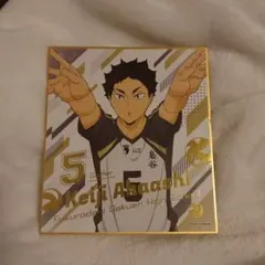 ハイキュー!! 【赤葦京治】