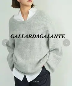 定価19,800円GALLARDAGALANTE フォックスワッフルニット極美品