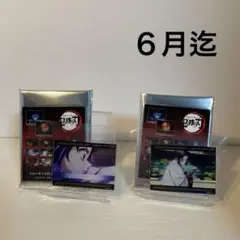 鬼滅の刃　胡蝶しのぶ　セット