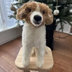 シュタイフ　コーイケルホンディエ　デコピン