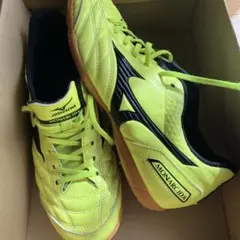 ミズノのトレーニングシューズ 26cm