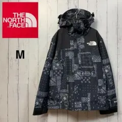 未使用 ノースフェイス マウンテンパーカー ゴアテックス ノベルティ メンズ M
