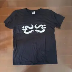 テリー・ライリー Tシャツ L おまけつきのサムネイル