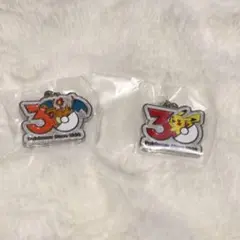 ポケモン30周年メタルチャーム 【24時間以内発送】
