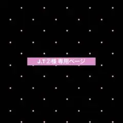 J.T②様 専用ページ 40枚(ジュンソ多め)