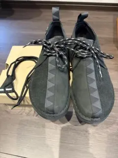 Clarks×NEIGHBORHOOD DESERT TREK GTXのサムネイル