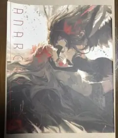 【希少/画集】ANARCHY 暁美ほむら まどマギ イラスト集 / 萌少女領域