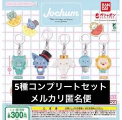 JOCHUM めじるしアクセサリー2 全5種コンプセット