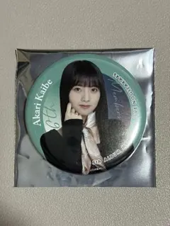 Item thumbnail for item c9fa516b-af69-427a-9ae4-aa0cd9fba276