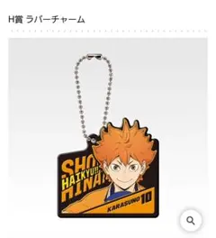 ハイキュー 日向翔陽 ラバーチャーム