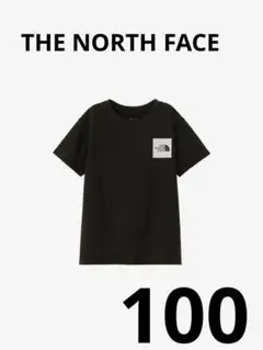 THE NORTH FACE ショートスリーブスモールスクエアロゴティー