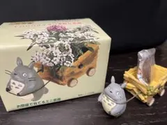 となりのトトロ 栽培セット ドンドコまつり - メルカリ
