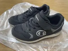 Item thumbnail for item 970135b8-206f-4135-b153-7c3066821c96