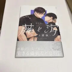 藤と海 -再会と愛執-