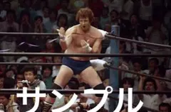 プロレス生写真　テリーファンク② 10枚1組