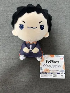 新品未使用 澤村大地 ハイキュー‼︎ もちぴこぬいぐるみ