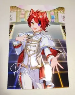 【専用ページ】STPR Family Festival ブロマイド 莉犬