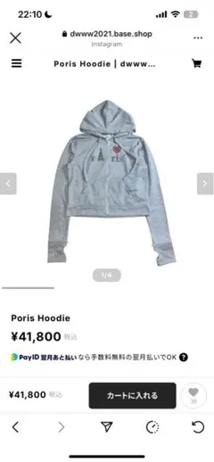 Dinoworks poris hoodie