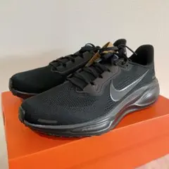 2025年最新】ナイキ ペガサス 41の人気アイテム - メルカリ