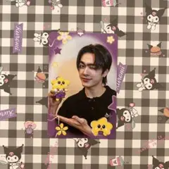 【AouBoom】日本限定セルフィートレカ　1枚