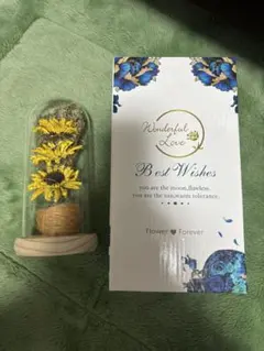 Item thumbnail for item d418cae8-2b37-4e2b-a3a9-8418229d877e