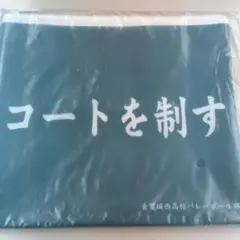 コートを制す フラットポーチ 55cm