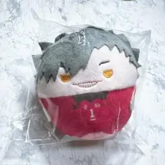 ハイキュー!! ぬいくじ2 E賞 黒尾鉄朗 - メルカリ