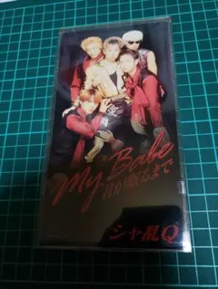 12/2 ★送料込み★ シャ乱Q/マイ・ベイブ 君が眠るま