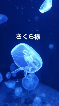 さくら様 リクエスト 2点 まとめ商品