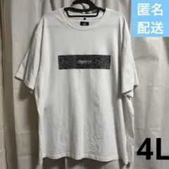 Item thumbnail for item 5ab99594-7cfa-409d-9d3d-49c40fa00302