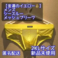 【金運アップのイエロー】メンズ メッシュビキニブリーフパンツ/2XL