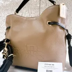 ✨未使用に近い✨ コーチ アンディ 巾着 2way レザー