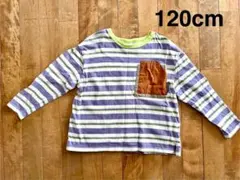 120cm ストライプ 長袖カットソー