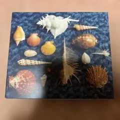 みィち君様 リクエスト 2点 まとめ商品