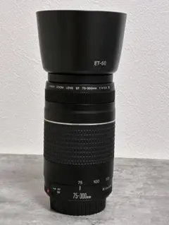 Canon - canon kiss x10i望遠レンズセット/ Canon 75-300mm canon kiss x10i望遠レンズセット/Canon EF 75-300㎜ 保証付き