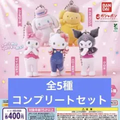 サンリオキャラクターズ ミニチュアチャーム ライブキャラクター 5種　コンプ
