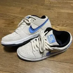 最終値下げ‼️Nike SB Dunk Low 