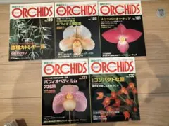 趣味の洋ラン　 ニューオーキッド5冊　121 125 129 130 131