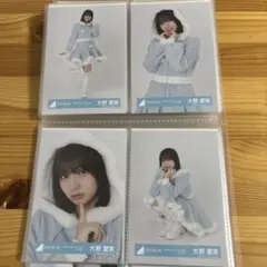 日向坂46 「HappyMagicalTour 2024」サンタ衣装　大野愛実
