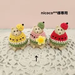 nicoco**様専用