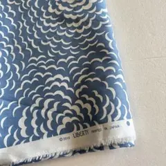 Item thumbnail for item 20b13eb9-a060-4461-a856-67d4d2873b52