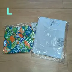 Item thumbnail for item 6cbbd596-9984-4ad2-8bf3-123ecc3a4aa9