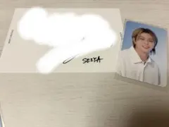 BUDDiiS FORENCOS フォレンコス SEIYA