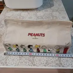 tente PEANUTS　ティッシュボックス カバー