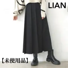 【タグ付き未使用✨】LIAN スカート プリーツ Aライン Fサイズ ブラックのサムネイル