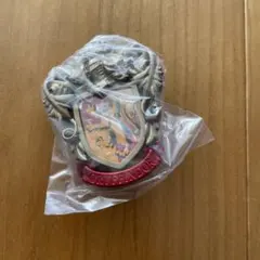 ハリーポッター　フォトフレームチャーム　グリフィンドール